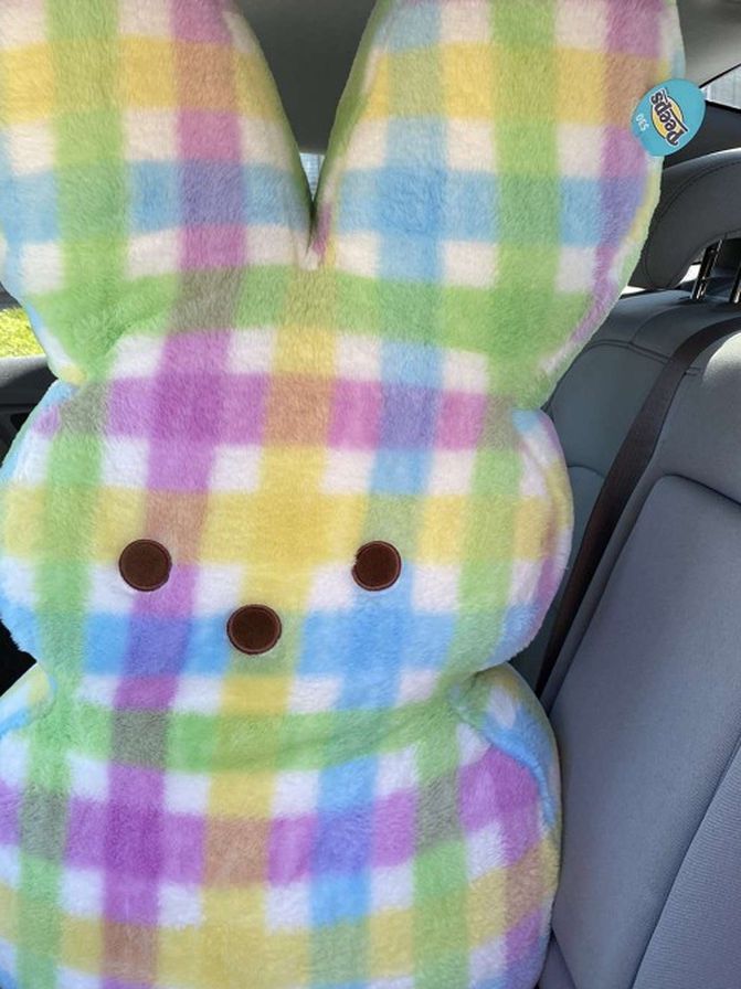 Peeps 38" Plaid Marshmallow Plush Easter Giant Bunny Sold Out