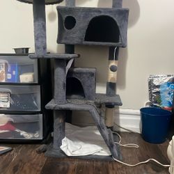 Cat Tree 