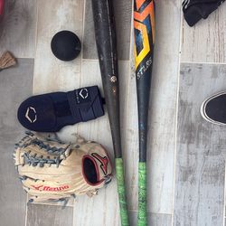 Baseball bats and glove