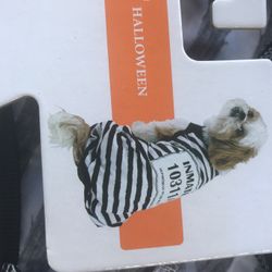 Dog Costume Or Pajamas