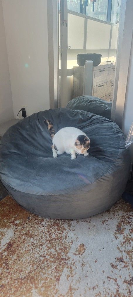 Memory Foam Bean Bag Chair