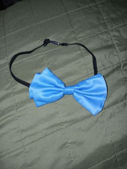 Blue bowtie