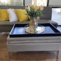 Gray Futon & Ottoman 