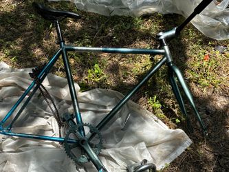 Nice guy state  bicyc frame .