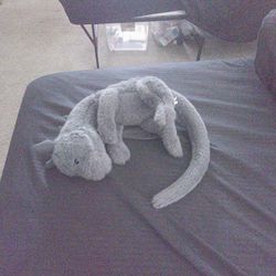 Stuffed Dragon