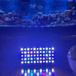 Aquarium LED Light For Reef Tank