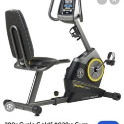 Golds Gym Bike 390R