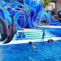 4 Sea World Orlando Tickets 