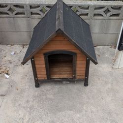 Dog House 