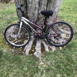 26” Trek Mountain Bike 