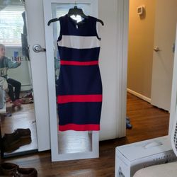 Navy Colorblock Sheath Dress with Red Stripes