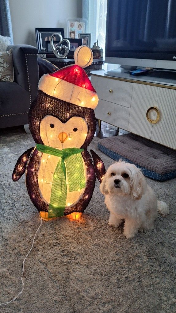 CHRISTMAS DECORATION  $20 