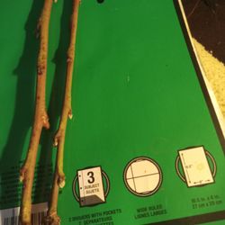 (2) Elberta Peach Tree Cuttings