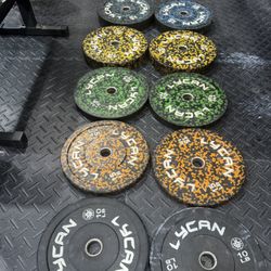 Plates Set Weightlifting 