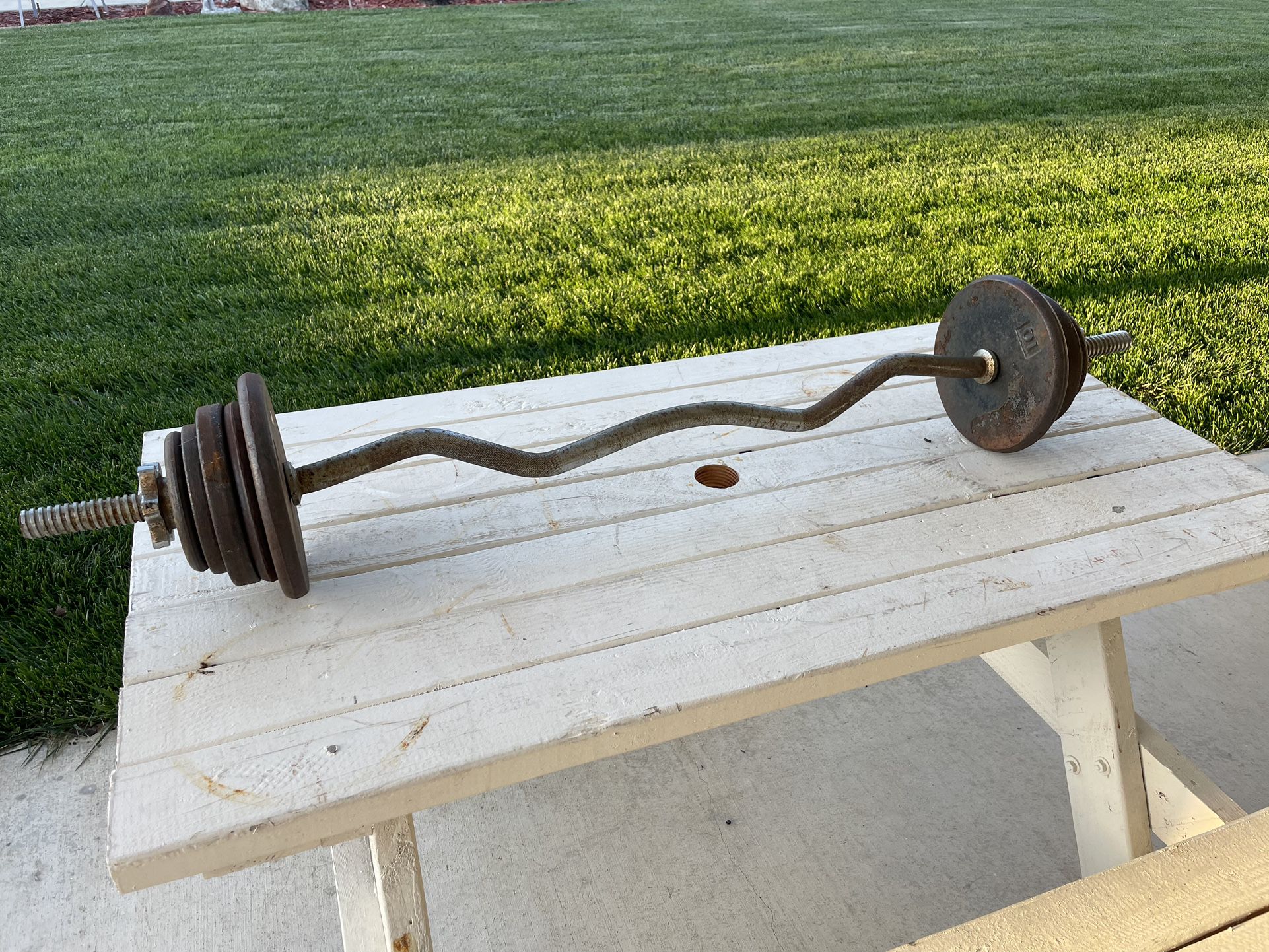 Curl Bar with Weights 