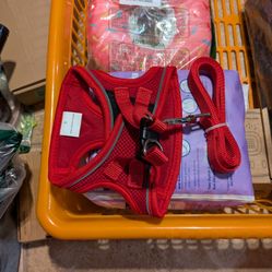 Red Pet Harness and Leash