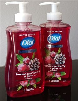Dial Handsoap Set | $3