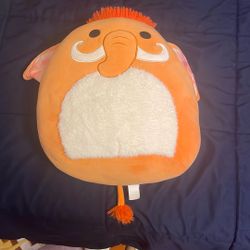 Squish mallow  (hog)