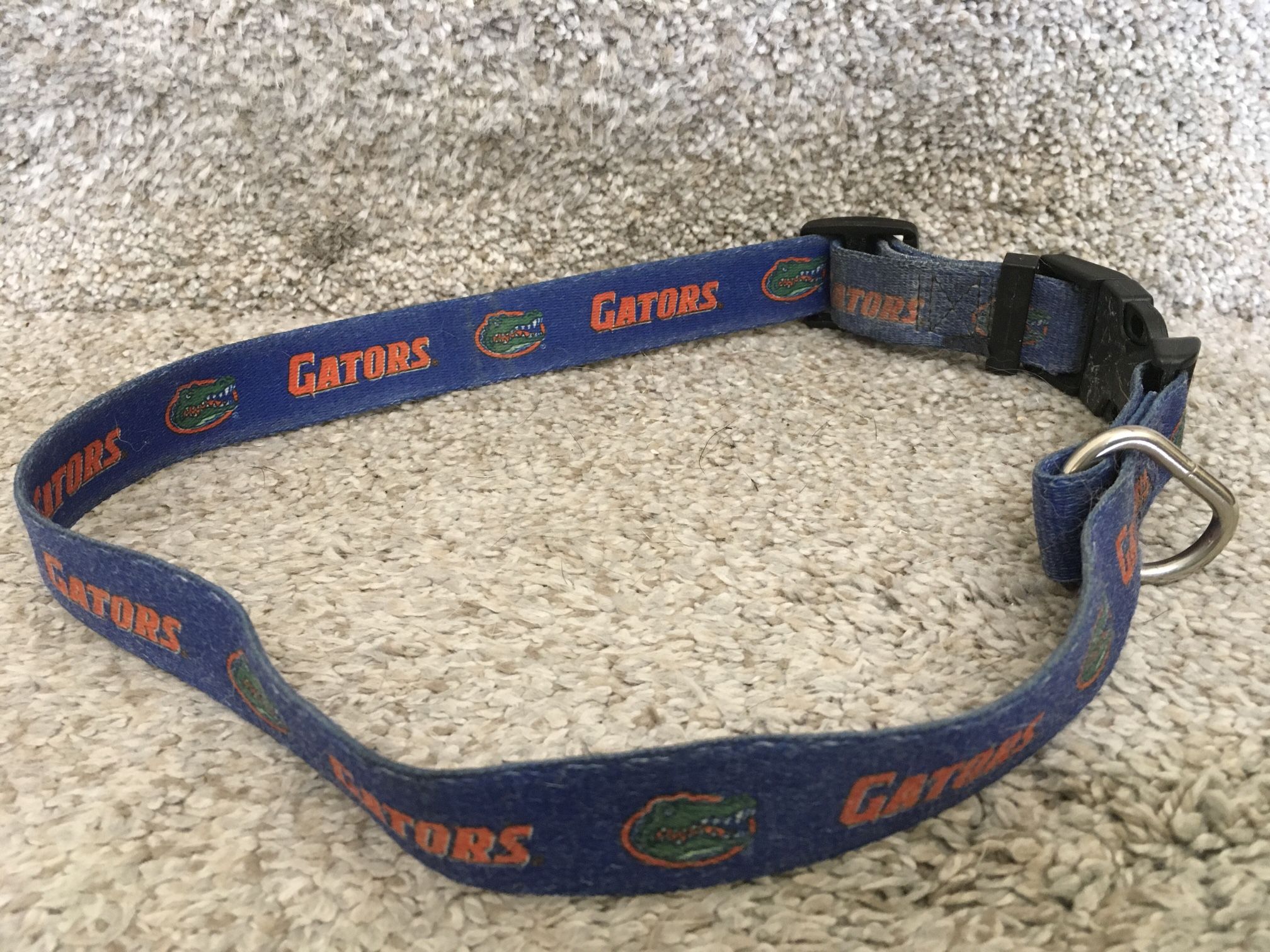 University of Florida Gators Dog Collar