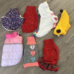 Small Dog Clothes