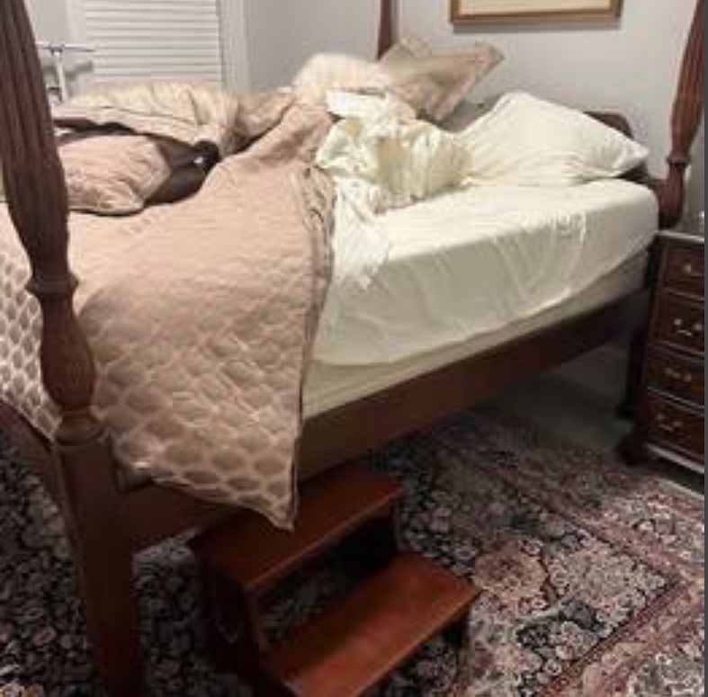 Rice bed w/ queen mattress & boxspring for sale