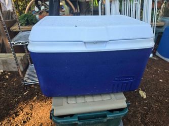 Rubbermaid 24-Quart Cooler