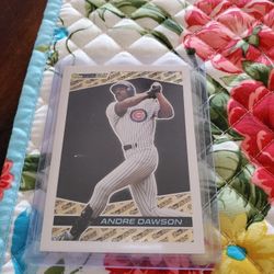 Chicago Cubs Andre Dawson Baseball Cards Lot 