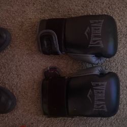 Boxing Gloves Everlast 