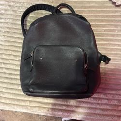 Louis Vuitton Taiga BackPack