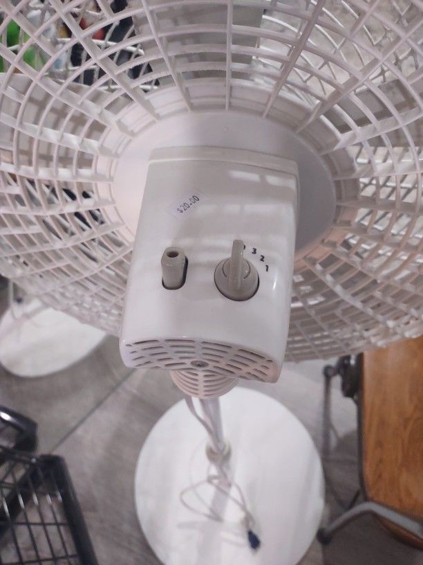 Stand Up Fan