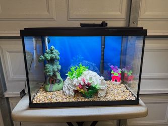 New 20 Gallon Fish Tank