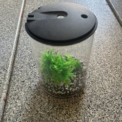 Starter Fish Tank w/Equipment