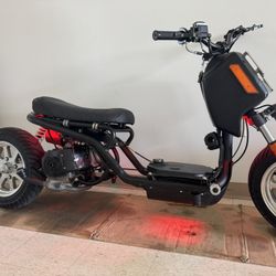 Ice Bear Scooter 