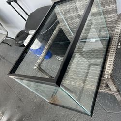 Fish Tank 