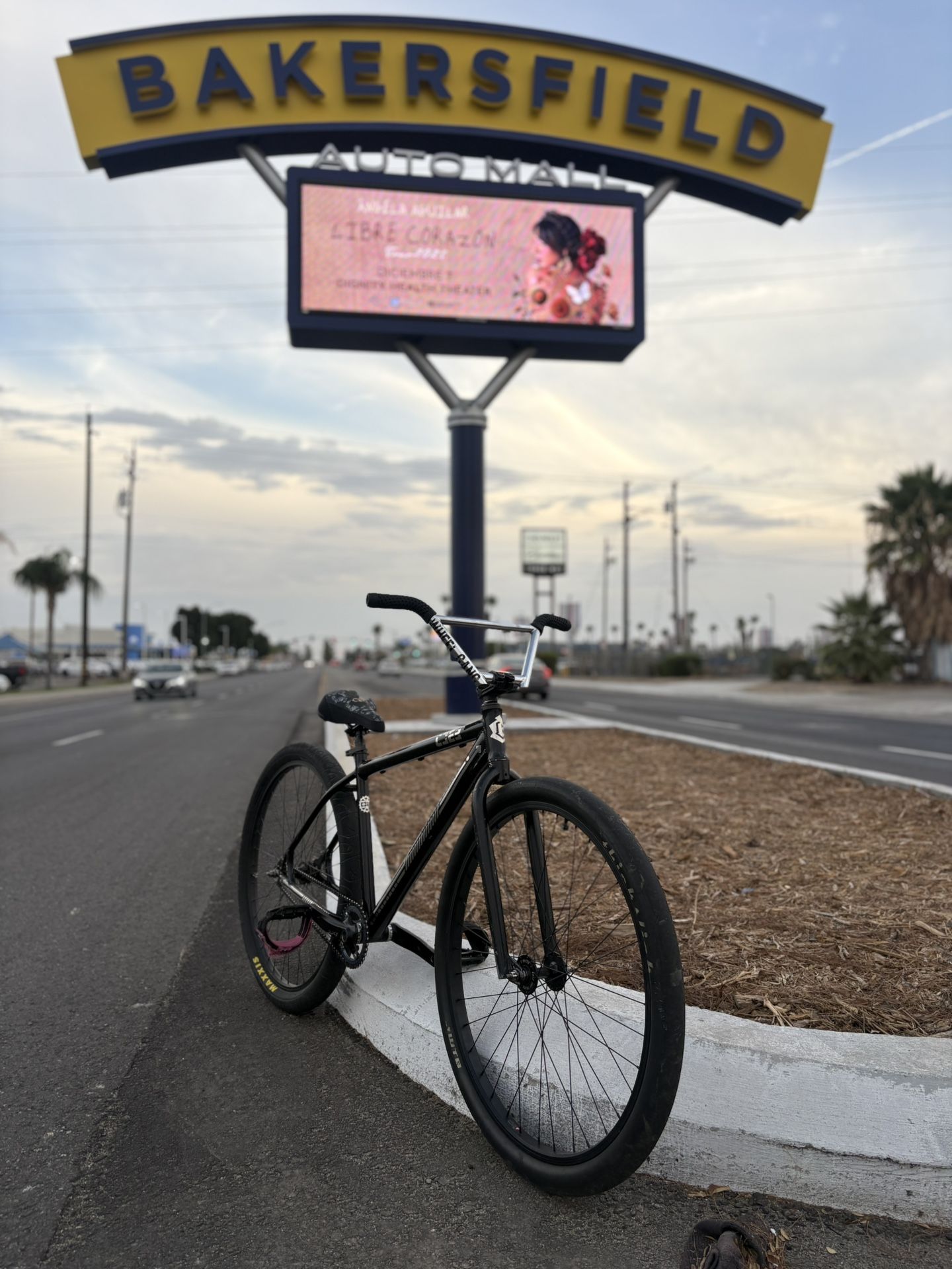 collective c2 29er