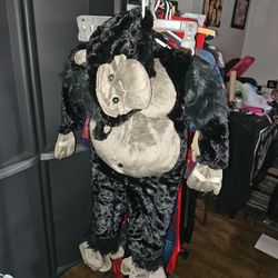 Costum