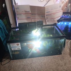 40 Gallon Short Breeder Size Aqusrium
