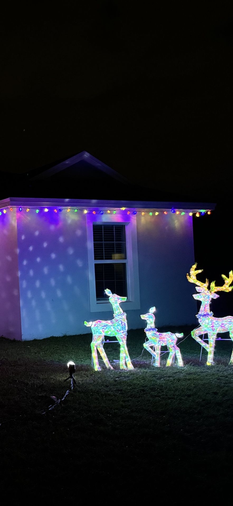 Christmas Decorations