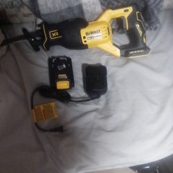 Xr DeWalt 20 V. Brushless Saw Zaw