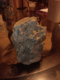 Cresteous Fossil