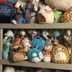 Squishmallows!!