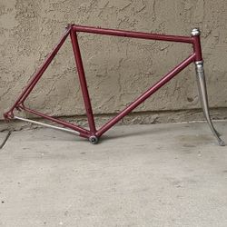 Frame road bike Colnago. 