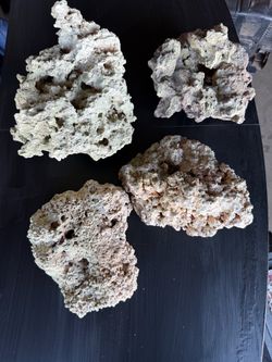 Coral rocks