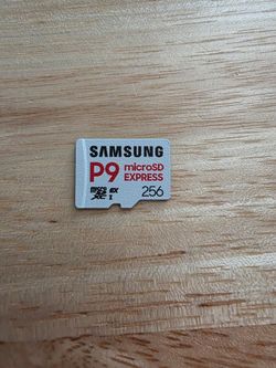 Samsung P9 Express microSD Express Card, 256GB