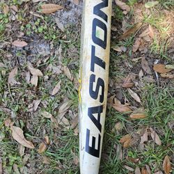 Easton XL 2 Piece BB11X2 Composite Baseball Bat 34” x 31 oz