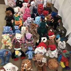 A BEANIE BABY extravaganza