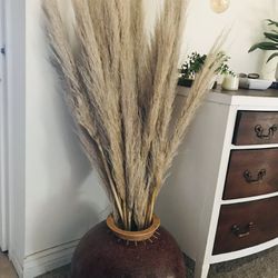 Dried Tall Pampas Grass In Boho Vase🪴