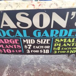 8/5/23 Weekend Selection At Jason's Local Garden Located In New River Grove In Davie 