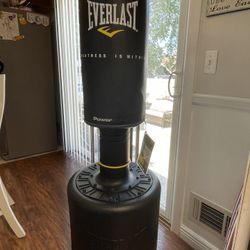 Everlast Power Core Freestanding Bag