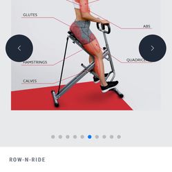 Sunny Upright Row & ride Excerciser